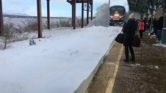 Весёлое прибытие поезда - смотреть видео (0:43)