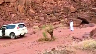 Может ли Тойота вырвать пенёк? - смотреть видео (0:25)