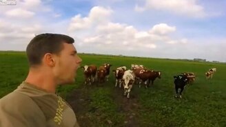 Как подозвать к себе всех тёлок - смотреть видео (1:36)