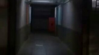 Что-то таинственное в коридоре - смотреть видео (1:45)