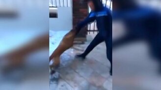 Раздразнил - получи по заслугам! - смотреть видео (0:18)