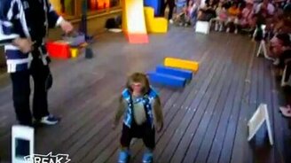 Безумные обезьяны - смотреть видео (2:18)