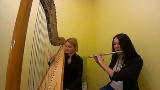 Песня Леди Гага на арфе и флейте - смотреть видео (2:05)