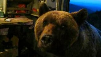 Мишка зашёл на огонёк - смотреть видео (1:44)