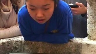 Колодезная акустика - смотреть видео (0:48)