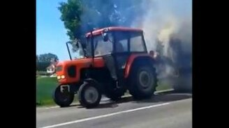 Горячая перевозка сена - смотреть видео (0:40)