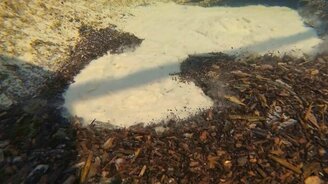 Родник: подводная съёмка - смотреть видео (0:21)