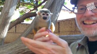 Животные-фокусники - смотреть видео (5:07)