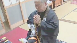 Молитва для монаха и его собаки - смотреть видео (0:40)