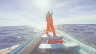 Спас благодарную черепаху - смотреть видео (1:46)