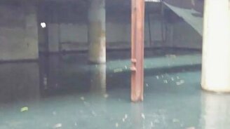 Пруд внутри торгового центра - смотреть видео (0:38)