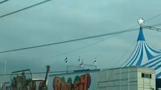 Жираф захотел на волю - смотреть видео (0:17)