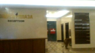 Тигр зашёл за покупками - смотреть видео (0:22)