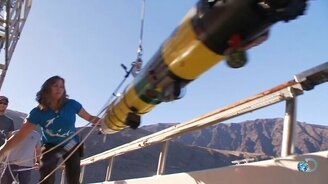 Акула атакует камеру - смотреть видео (5:15)