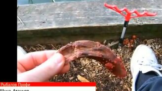 Подборка щучьих нападений - смотреть видео (2:43)