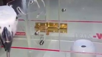 Попугай вскрывает замки - смотреть видео (1:10)