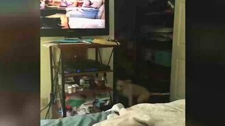 Да как же туда попасть? - смотреть видео (0:22)