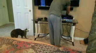 Жёсткое привлечение внимания - смотреть видео (0:09)