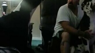 Ревнивый большой пёс - смотреть видео (1:57)