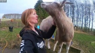 Как полезно обниматься! - смотреть видео (1:52)