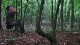 Койоты отзываются на вой охотника - смотреть видео (0:51)