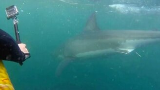 Ребята, я к вам! - смотреть видео (0:25)