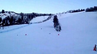 Приземлился на веранду кафе - смотреть видео (0:36)