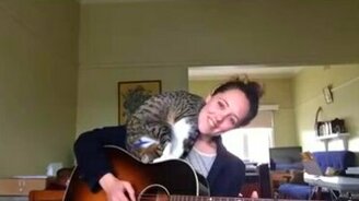 Хозяйка-гитаристка развлекает своего кота - смотреть видео (1:49)
