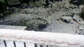 Первый снег в жизни пса - смотреть видео (1:02)