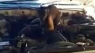 Обезьяний автосервис - смотреть видео (0:39)