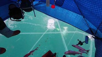 Речная форель весом в два кило - смотреть видео (3:53)