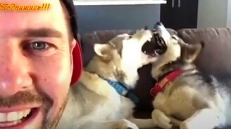 Сборник приколов и забавных мгновений - смотреть видео (6:32)