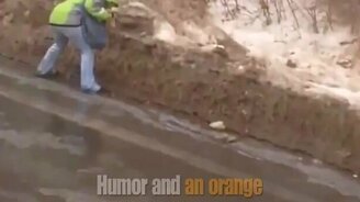 Как коровушка на льду - смотреть видео (1:07)