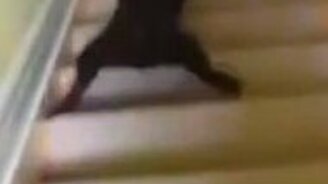 Быстрый спуск с лестницы - смотреть видео (0:10)