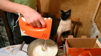 Кот против миксера - смотреть видео (0:36)