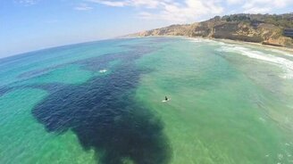 Нефтяное пятно что ли? - смотреть видео (3:17)