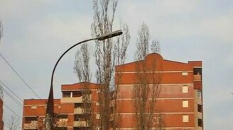 Дятел против фонаря - смотреть видео (0:28)