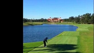 Гольфист случайным ударом сбил утку - смотреть видео (1:04)