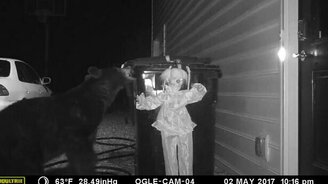 Пугало-противоугонка - смотреть видео (0:31)