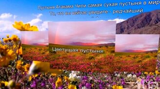 Необычные природные явления - смотреть видео (1:40)