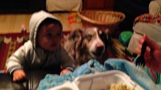 Скажите "мама"! - смотреть видео (0:28)