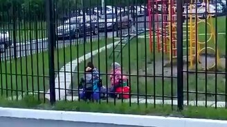 Дорожная пробка в детском саду - смотреть видео (0:35)