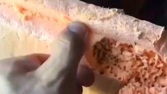 Муравьи поселились в пеноплексе - смотреть видео (1:14)