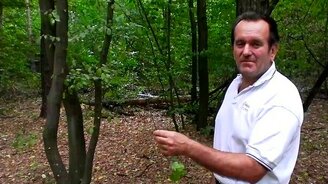 Как улучшить зрение самостоятельно - смотреть видео (6:02)