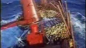 Каково перевозить дерево в шторм - смотреть видео (6:27)