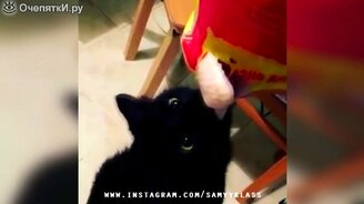 Сборник весёлых моментов и казусов - смотреть видео (5:38)