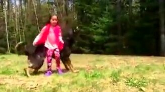 Верный защитник для девочки - смотреть видео (0:12)