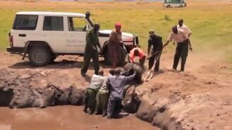 Люди помогают зверушкам - смотреть видео (3:32)