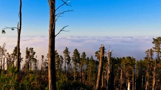 Красоты планеты Земля - смотреть видео (3:09)