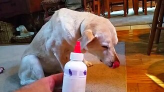 Не буду лекарство! - смотреть видео (0:37)